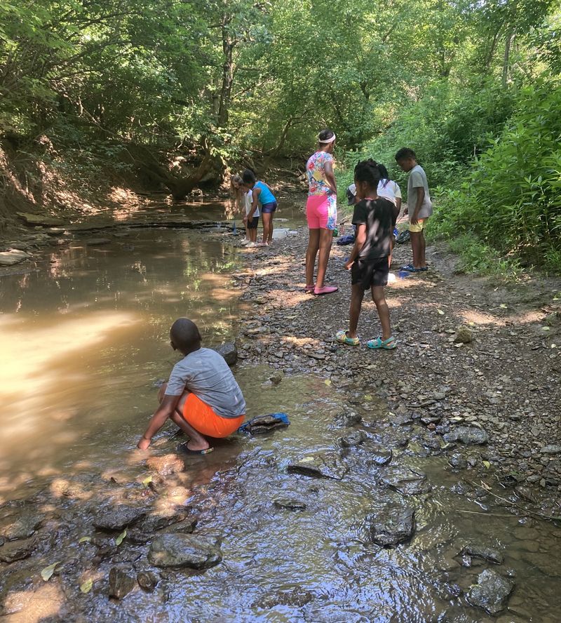 Students at a creek